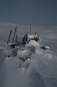 drifted sled.jpg